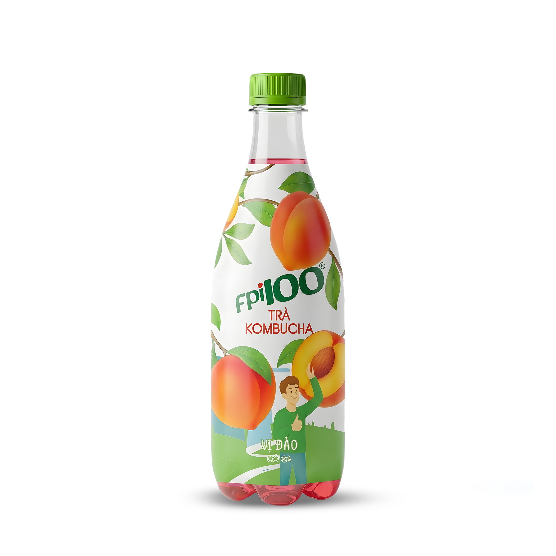 Trà Kombucha FPI100 vị đào