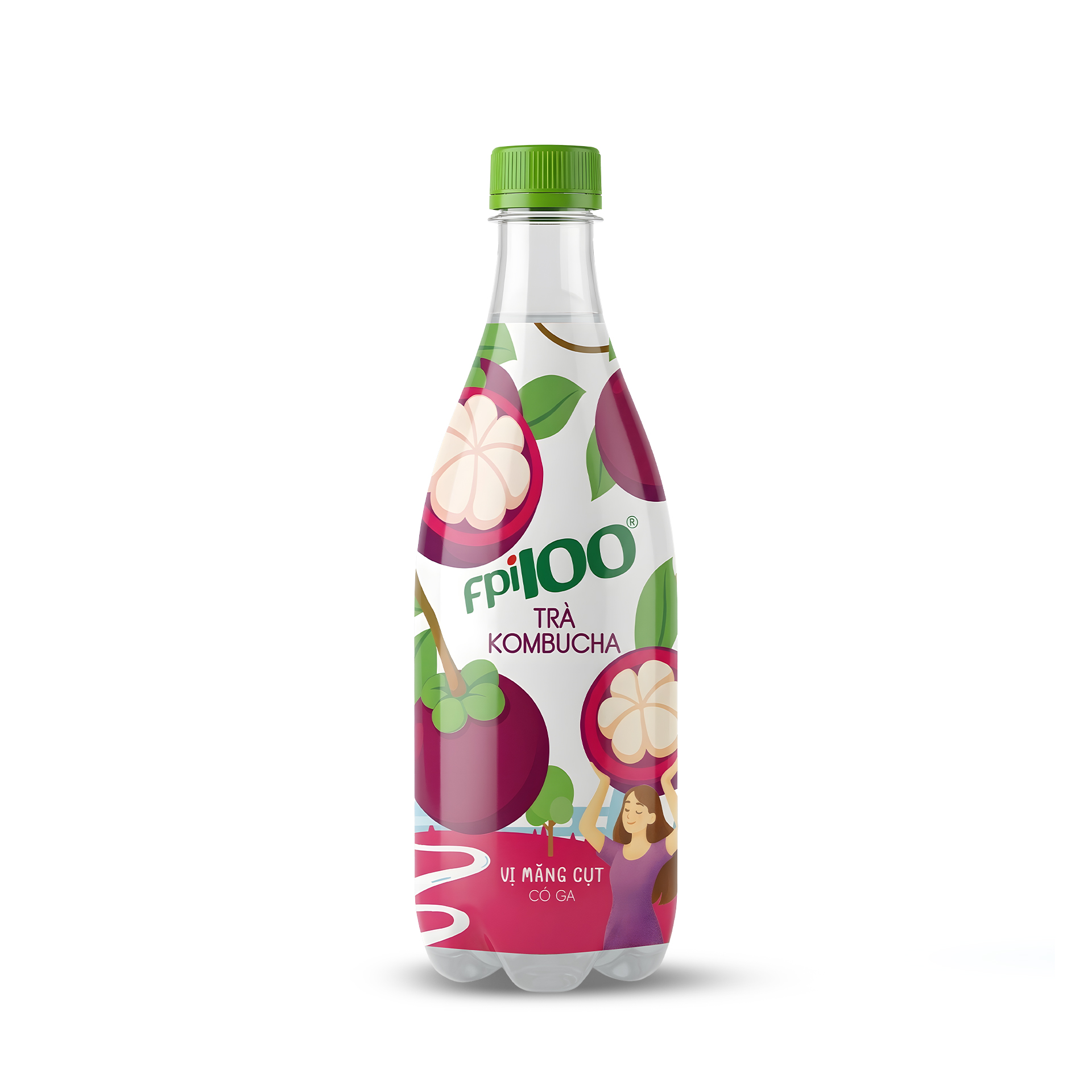 Trà Kombucha FPI100 vị măng cụt